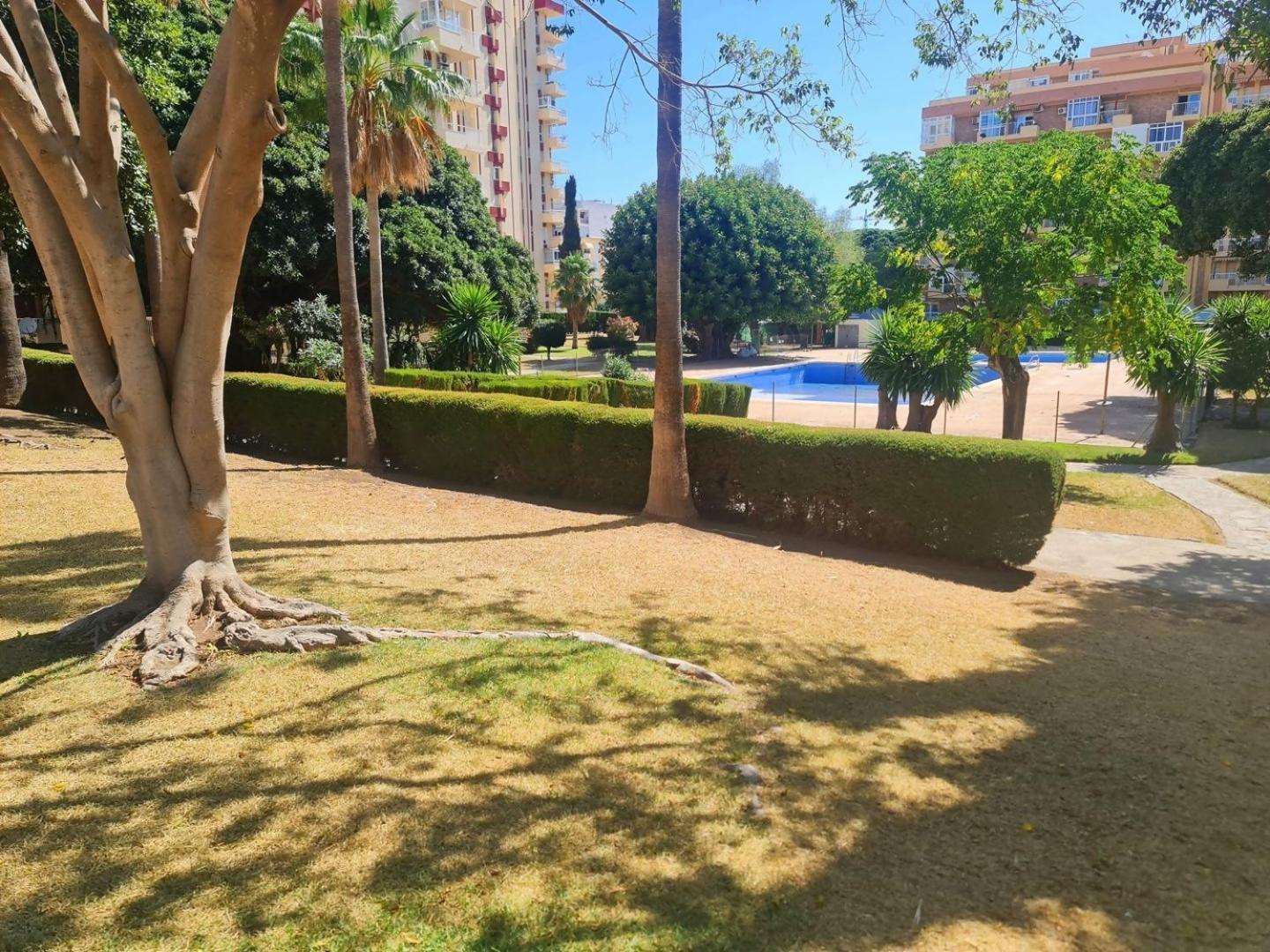 Estudio Aguila Prive Aceptamos Mascotas Benalmadena Bagian luar foto